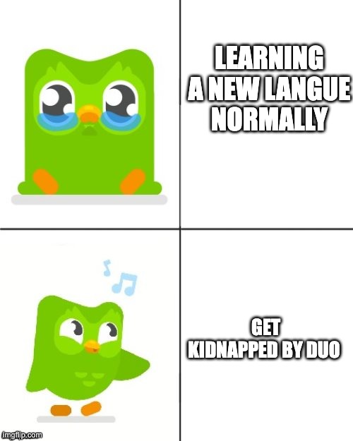 Duolingo Drake meme | LEARNING A NEW LANGUE  NORMALLY; GET KIDNAPPED BY DUO | image tagged in duolingo drake meme | made w/ Imgflip meme maker