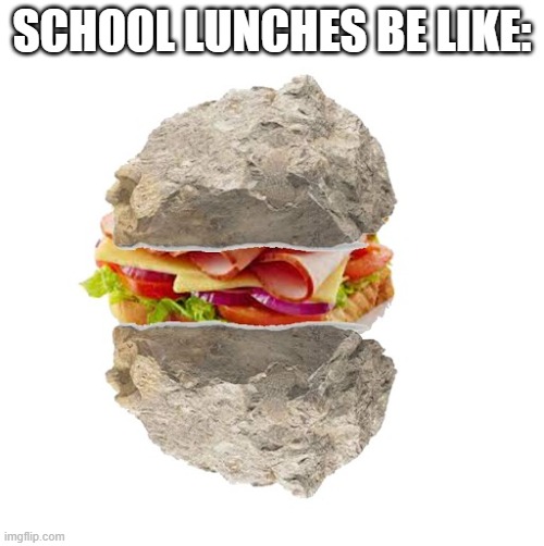 Why is the bread so hard | SCHOOL LUNCHES BE LIKE: | image tagged in school,school lunch,rock,food,sandwich,school meme | made w/ Imgflip meme maker