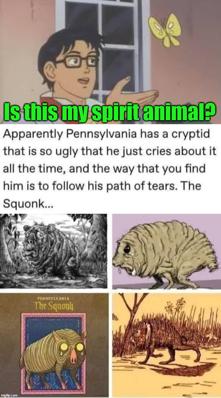 Is this my spirit animal? | image tagged in is this my spirit animal,depression | made w/ Imgflip meme maker