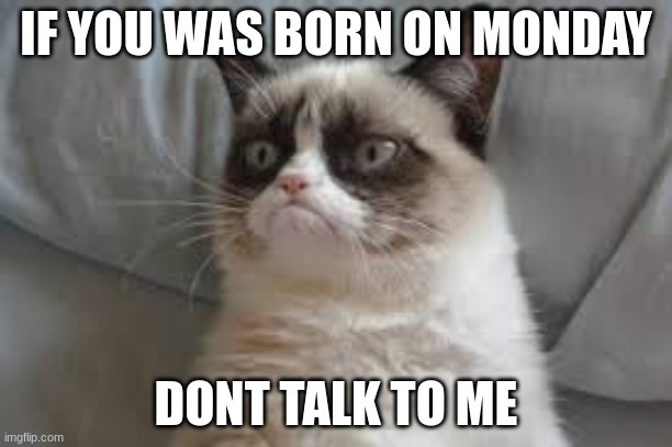 so cool | IF YOU WAS BORN ON MONDAY; DONT TALK TO ME | image tagged in grumpy cat | made w/ Imgflip meme maker