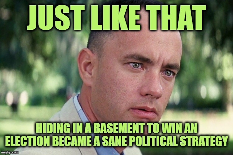 I'll Take Ways We Bury Our Heads in the Sand About the Stolen Elections for $800, Alex | JUST LIKE THAT; HIDING IN A BASEMENT TO WIN AN ELECTION BECAME A SANE POLITICAL STRATEGY | image tagged in memes,and just like that | made w/ Imgflip meme maker