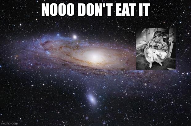 God Religion Universe | NOOO DON'T EAT IT | image tagged in god religion universe | made w/ Imgflip meme maker