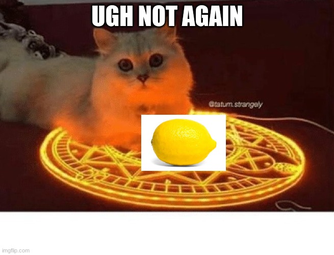 Satanic Ritual Cat, Bigger | UGH NOT AGAIN | image tagged in satanic ritual cat bigger | made w/ Imgflip meme maker