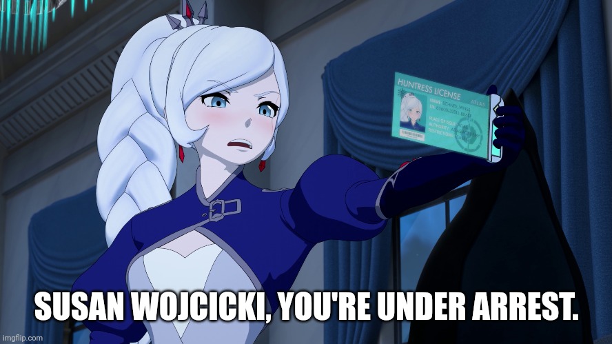 I hope this is illegal | SUSAN WOJCICKI, YOU'RE UNDER ARREST. | image tagged in memes,youtube,rwby,coppa | made w/ Imgflip meme maker