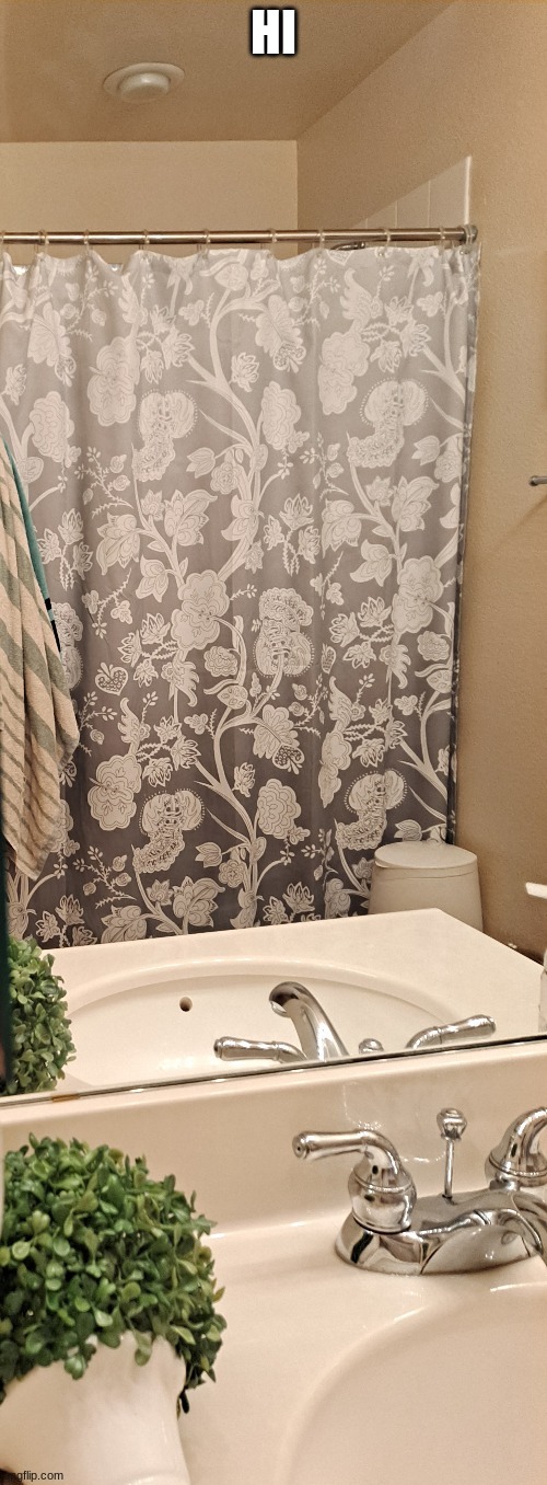 totally normal bathroom selfie | HI | image tagged in totally normal bathroom selfie | made w/ Imgflip meme maker