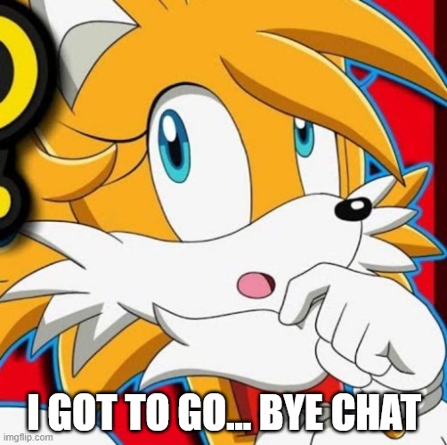 I GOT TO GO... BYE CHAT | image tagged in tailsko | made w/ Imgflip meme maker