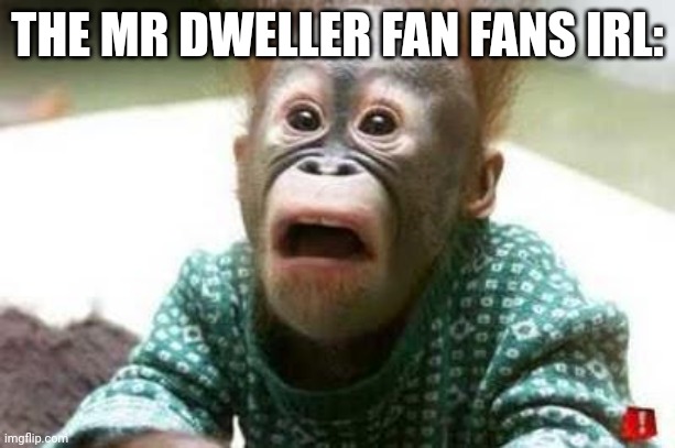 Ugly Monkey | THE MR DWELLER FAN FANS IRL: | image tagged in ugly monkey | made w/ Imgflip meme maker