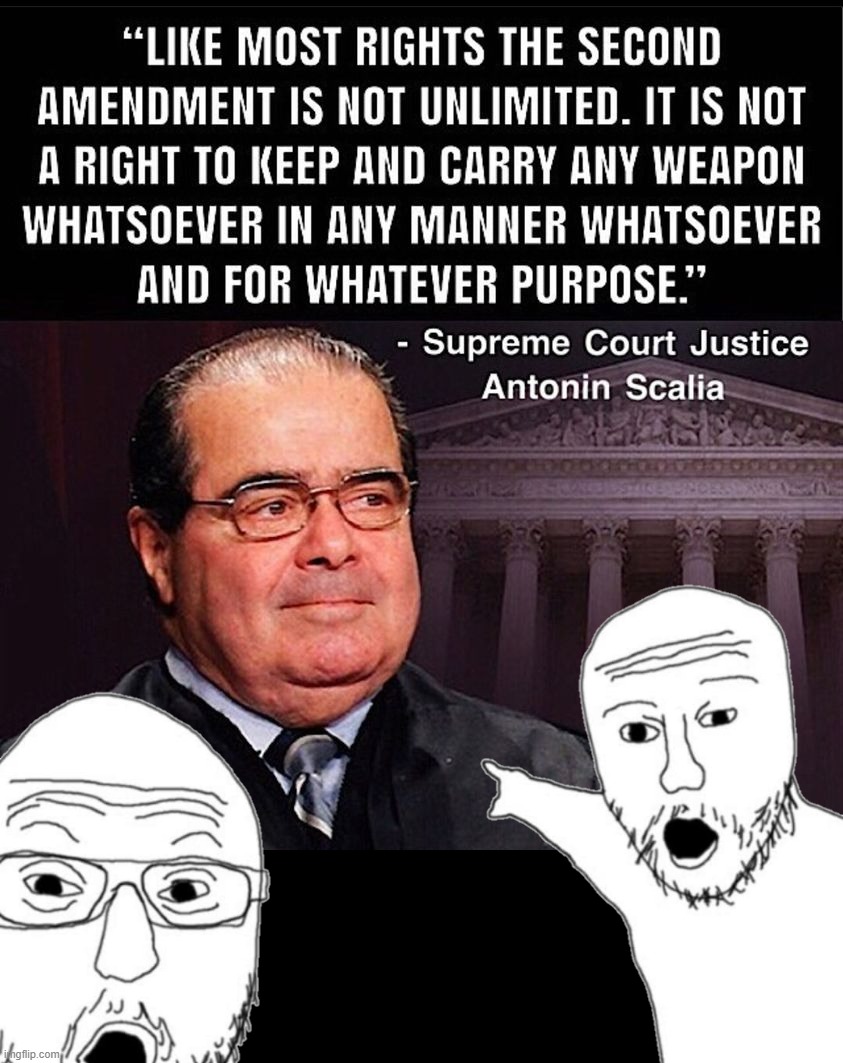 Based gun control advocate Antonin Scalia. Gunophobia | image tagged in justice antonin scalia quote gun control,antonin scalia,gun control,guns,gun rights,second amendment | made w/ Imgflip meme maker