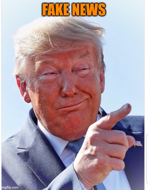 Trump pointing | FAKE NEWS | image tagged in trump pointing | made w/ Imgflip meme maker