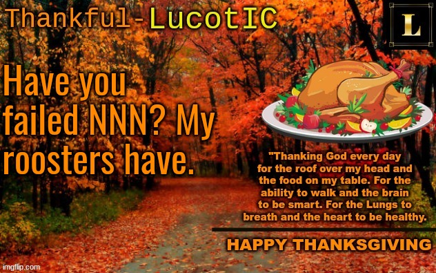 I have 7 roosters and they are always trying to hump the hens (Don't worry, we seperated them from the hens) | Have you failed NNN? My roosters have. | image tagged in lucotic thanksgiving announcement temp 11 | made w/ Imgflip meme maker