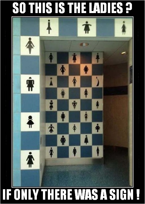 Toilet Confusion ? | SO THIS IS THE LADIES ? IF ONLY THERE WAS A SIGN ! | image tagged in toilets,ladies,signs | made w/ Imgflip meme maker