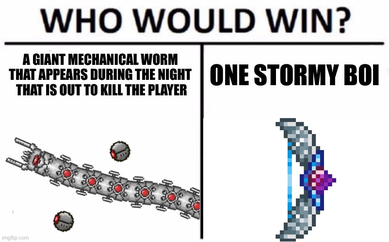 Terraria memes #1 |  A GIANT MECHANICAL WORM THAT APPEARS DURING THE NIGHT  THAT IS OUT TO KILL THE PLAYER; ONE STORMY BOI | image tagged in terraria,gaming,meme,who would win | made w/ Imgflip meme maker