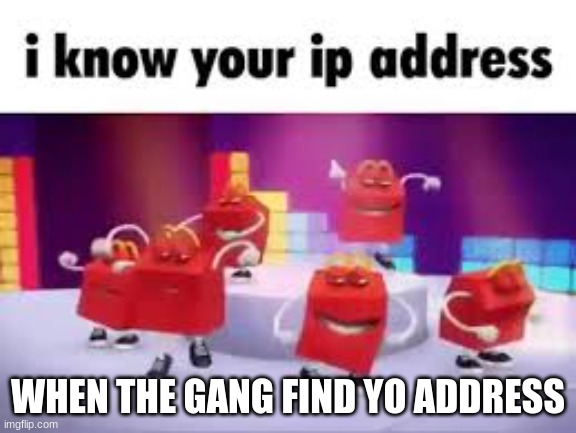 ip address meme | WHEN THE GANG FIND YO ADDRESS | image tagged in idk | made w/ Imgflip meme maker