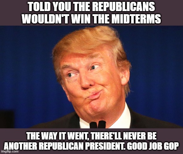 I told you so | TOLD YOU THE REPUBLICANS WOULDN'T WIN THE MIDTERMS; THE WAY IT WENT, THERE'LL NEVER BE ANOTHER REPUBLICAN PRESIDENT. GOOD JOB GOP | image tagged in trump told you so,midterms,republicans,voting | made w/ Imgflip meme maker