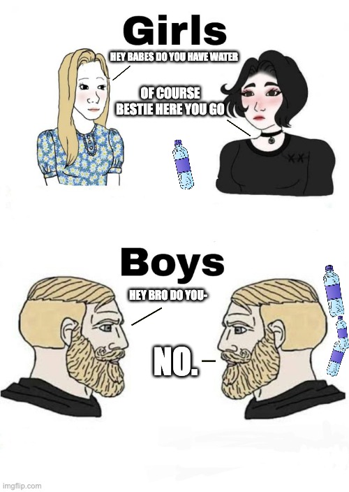 So true though, why is it like this | HEY BABES DO YOU HAVE WATER; OF COURSE BESTIE HERE YOU GO; HEY BRO DO YOU-; NO. | image tagged in boys v girls | made w/ Imgflip meme maker