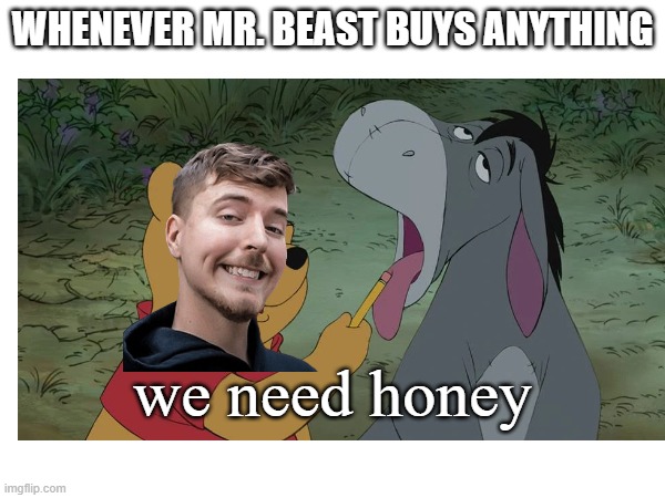 honey |  WHENEVER MR. BEAST BUYS ANYTHING; we need honey | image tagged in honey,winnie the pooh,mr beast | made w/ Imgflip meme maker