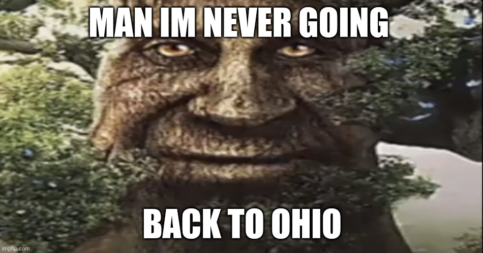 man wtf goin on in ohio ? | MAN IM NEVER GOING; BACK TO OHIO | image tagged in wise mystical tree | made w/ Imgflip meme maker