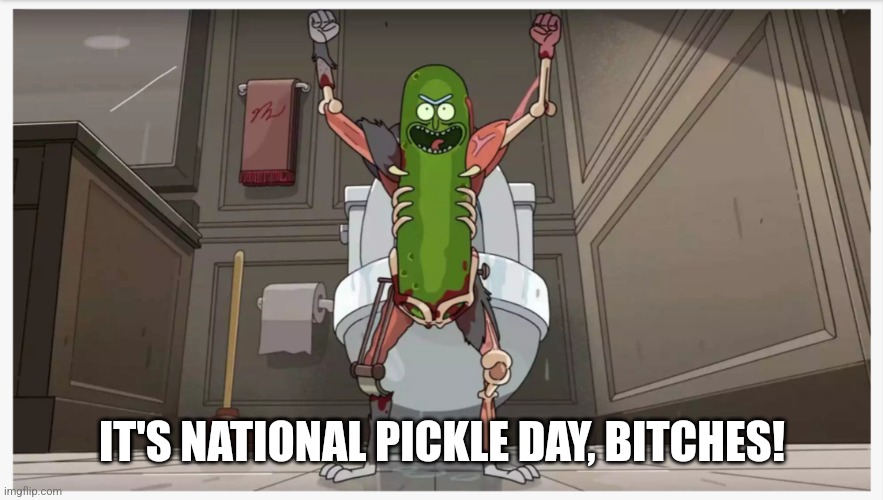 Pickle Rick | IT'S NATIONAL PICKLE DAY, BITCHES! | image tagged in pickle rick | made w/ Imgflip meme maker