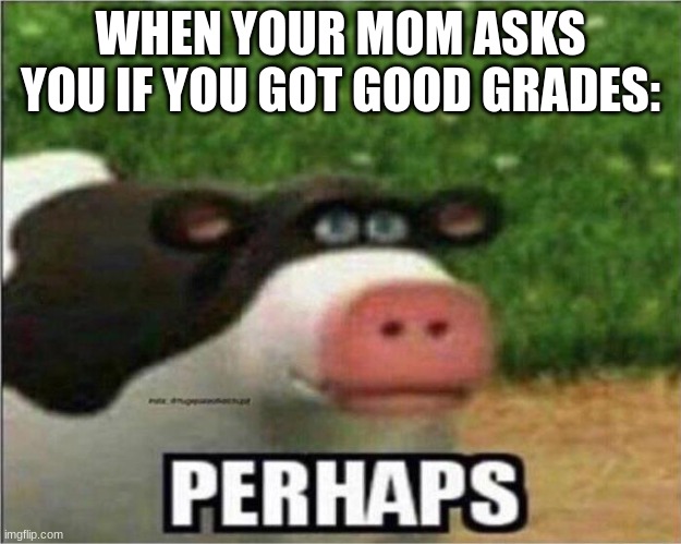 Maybeeeee?? | WHEN YOUR MOM ASKS YOU IF YOU GOT GOOD GRADES: | image tagged in perhaps cow | made w/ Imgflip meme maker