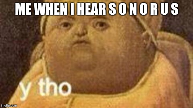 why tho | ME WHEN I HEAR S O N O R U S | image tagged in why tho | made w/ Imgflip meme maker