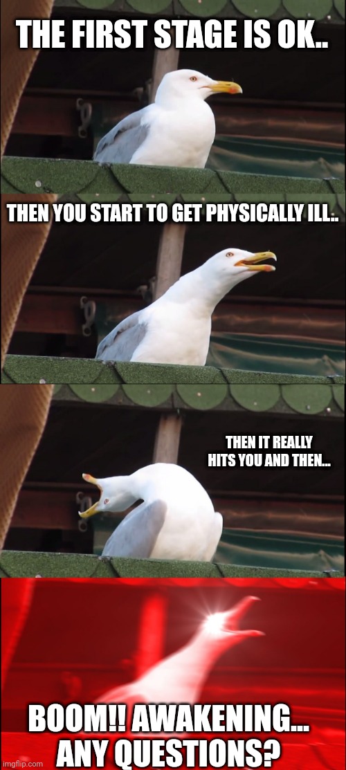 Awakening | THE FIRST STAGE IS OK.. THEN YOU START TO GET PHYSICALLY ILL.. THEN IT REALLY HITS YOU AND THEN... BOOM!! AWAKENING...

ANY QUESTIONS? | image tagged in memes,inhaling seagull | made w/ Imgflip meme maker