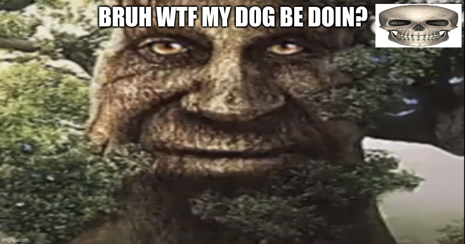 hehehehaw | BRUH WTF MY DOG BE DOIN? | image tagged in wise mystical tree | made w/ Imgflip meme maker