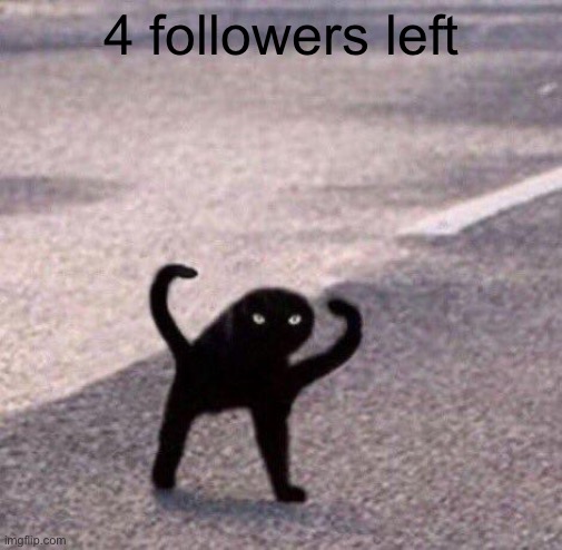 Cursed cat temp | 4 followers left | image tagged in cursed cat temp | made w/ Imgflip meme maker