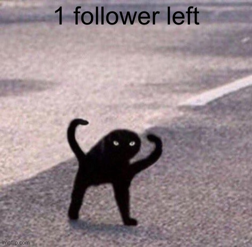 Cursed cat temp | 1 follower left | image tagged in cursed cat temp | made w/ Imgflip meme maker