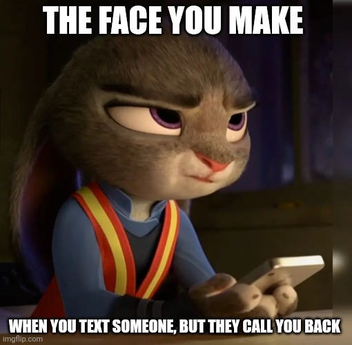 Annoyed Bunny | THE FACE YOU MAKE; WHEN YOU TEXT SOMEONE, BUT THEY CALL YOU BACK | image tagged in annoyed judy hopps,zootopia,judy hopps,the face you make when,annoyed,funny | made w/ Imgflip meme maker