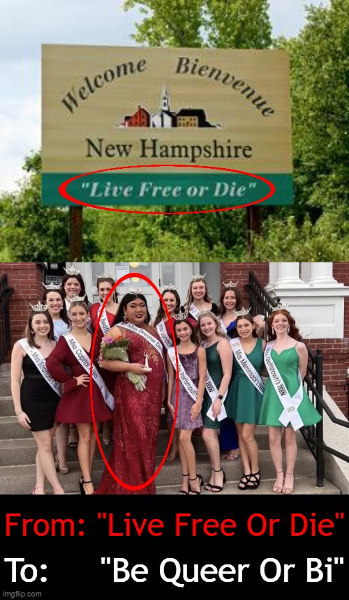 A biological male won a New Hampshire 'Miss America' beauty pageant | From: "Live Free Or Die"; To:     "Be Queer Or Bi" | image tagged in politics,new hampshire,political humor,transgender,imgflip humor,contest | made w/ Imgflip meme maker