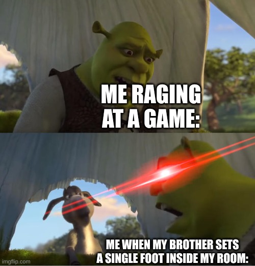 Shrek For Five Minutes | ME RAGING AT A GAME:; ME WHEN MY BROTHER SETS A SINGLE FOOT INSIDE MY ROOM: | image tagged in shrek for five minutes | made w/ Imgflip meme maker