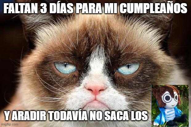Aradir saca los peluches |  FALTAN 3 DÍAS PARA MI CUMPLEAÑOS; Y ARADIR TODAVÍA NO SACA LOS | image tagged in memes,grumpy cat not amused,grumpy cat | made w/ Imgflip meme maker