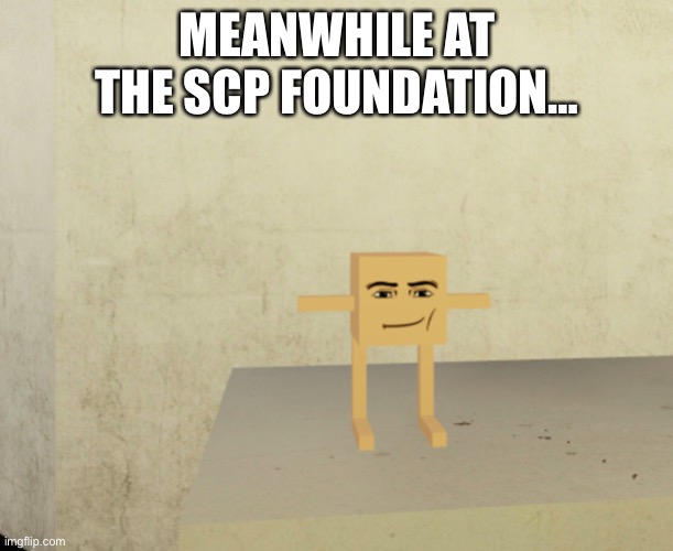 MEANWHILE AT THE SCP FOUNDATION… | made w/ Imgflip meme maker