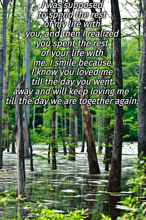 Loss | I was supposed to spend the rest of my life with you, and then I realized you spent the rest of your life with me. I smile because I know you loved me till the day you went away and will keep loving me 
till the day we are together again. | image tagged in words of wisdom | made w/ Imgflip meme maker