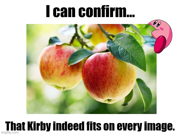 Am I wrong? | I can confirm... That Kirby indeed fits on every image. | image tagged in kirby,apples,fits on every image,kirby fits on every image,memecraftia | made w/ Imgflip meme maker