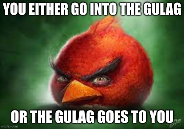 Pick one | YOU EITHER GO INTO THE GULAG; OR THE GULAG GOES TO YOU | image tagged in realistic red angry birds | made w/ Imgflip meme maker