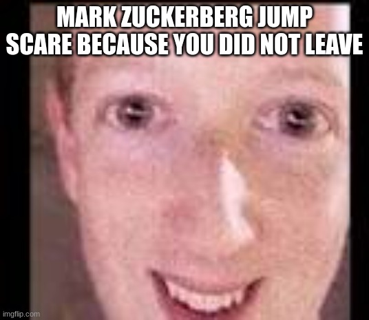 mark | MARK ZUCKERBERG JUMP SCARE BECAUSE YOU DID NOT LEAVE | image tagged in mark | made w/ Imgflip meme maker