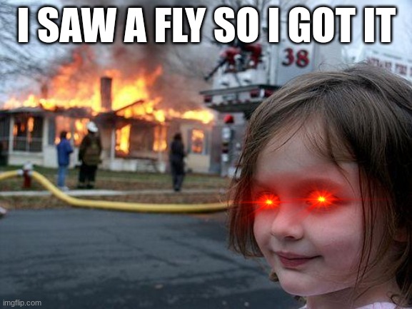 Desaster Girl | I SAW A FLY SO I GOT IT | image tagged in desaster girl | made w/ Imgflip meme maker