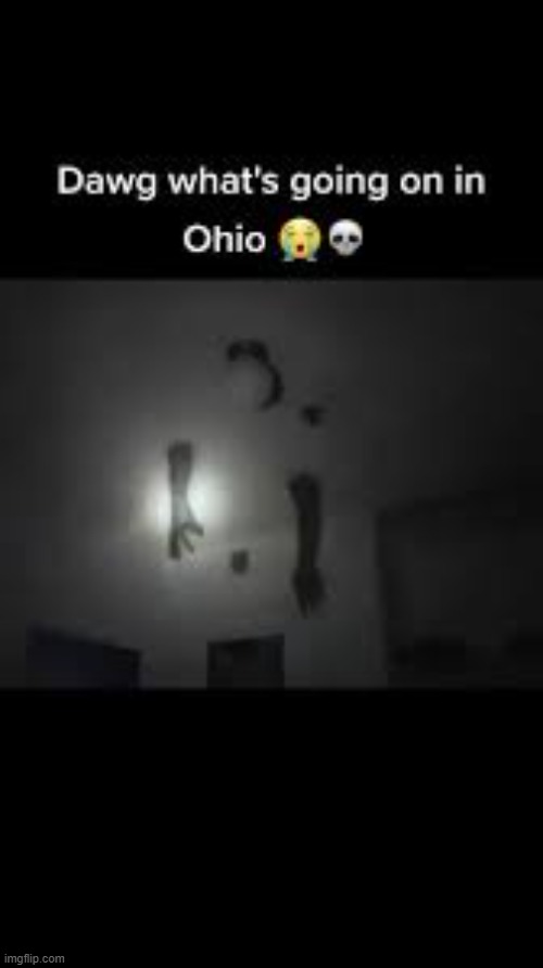 Only in Ohio pt. 2 | image tagged in ohio,only in ohio | made w/ Imgflip meme maker