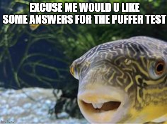 EXCUSE ME WOULD U LIKE SOME ANSWERS FOR THE PUFFER TEST | made w/ Imgflip meme maker