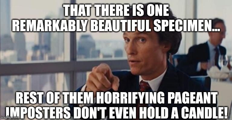 THAT THERE IS ONE REMARKABLY BEAUTIFUL SPECIMEN... REST OF THEM HORRIFYING PAGEANT IMPOSTERS DON'T EVEN HOLD A CANDLE! | made w/ Imgflip meme maker