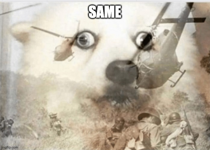 PTSD dog | SAME | image tagged in ptsd dog | made w/ Imgflip meme maker