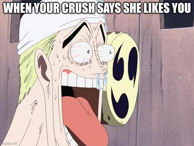WHEN YOUR CRUSH SAYS SHE LIKES YOU | image tagged in girls,grills,hmm,yes,go away,now | made w/ Imgflip meme maker