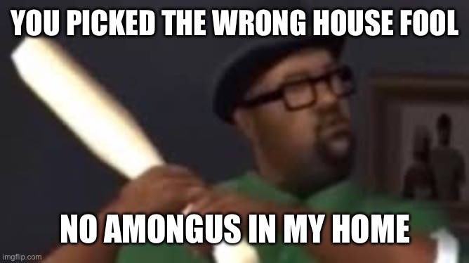 You picked the wrong house fool | YOU PICKED THE WRONG HOUSE FOOL NO AMONGUS IN MY HOME | image tagged in you picked the wrong house fool | made w/ Imgflip meme maker