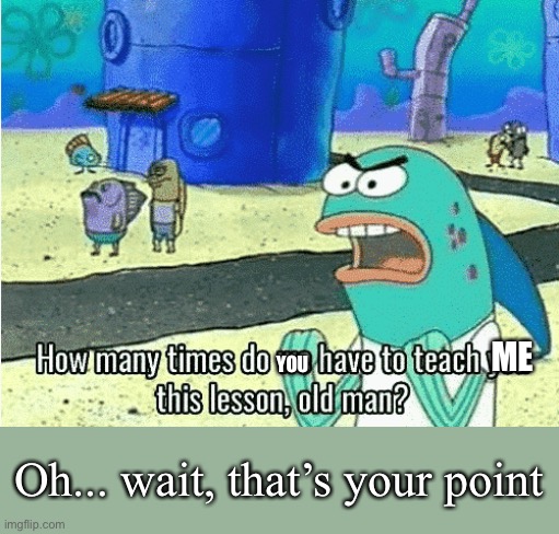 How Many Times Do We Have to Teach You This Lesson, Old Man | ME YOU Oh... wait, that’s your point | image tagged in how many times do we have to teach you this lesson old man | made w/ Imgflip meme maker