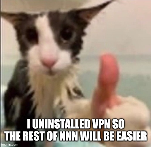 Cat thumbs up | I UNINSTALLED VPN SO THE REST OF NNN WILL BE EASIER | image tagged in cat thumbs up | made w/ Imgflip meme maker