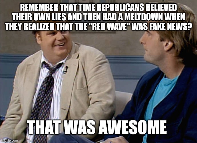 Remember that time | REMEMBER THAT TIME REPUBLICANS BELIEVED THEIR OWN LIES AND THEN HAD A MELTDOWN WHEN THEY REALIZED THAT THE "RED WAVE" WAS FAKE NEWS? THAT WAS AWESOME | image tagged in remember that time,fake news,scumbag republicans,terrorists,terrorism,maga | made w/ Imgflip meme maker