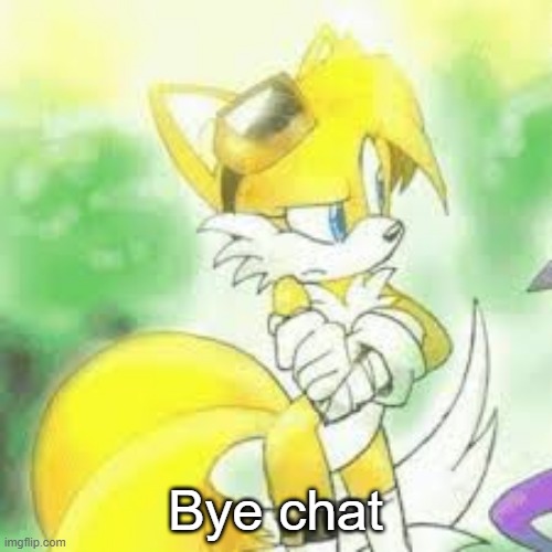 Bye chat | image tagged in tailsko | made w/ Imgflip meme maker