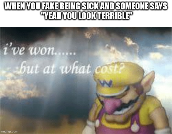 I've won but at what cost? |  WHEN YOU FAKE BEING SICK AND SOMEONE SAYS
 "YEAH YOU LOOK TERRIBLE" | image tagged in i've won but at what cost | made w/ Imgflip meme maker