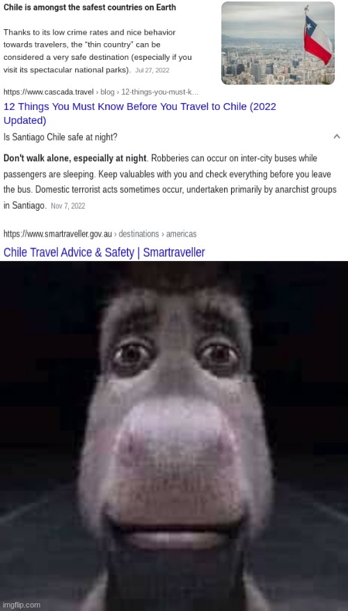 Okay | image tagged in donkey staring,country,slander | made w/ Imgflip meme maker